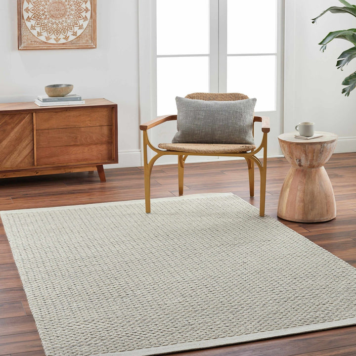 Emlen Beachhouse Traditional Style Beige Hand Woven Wool Rug - The Rug Decor