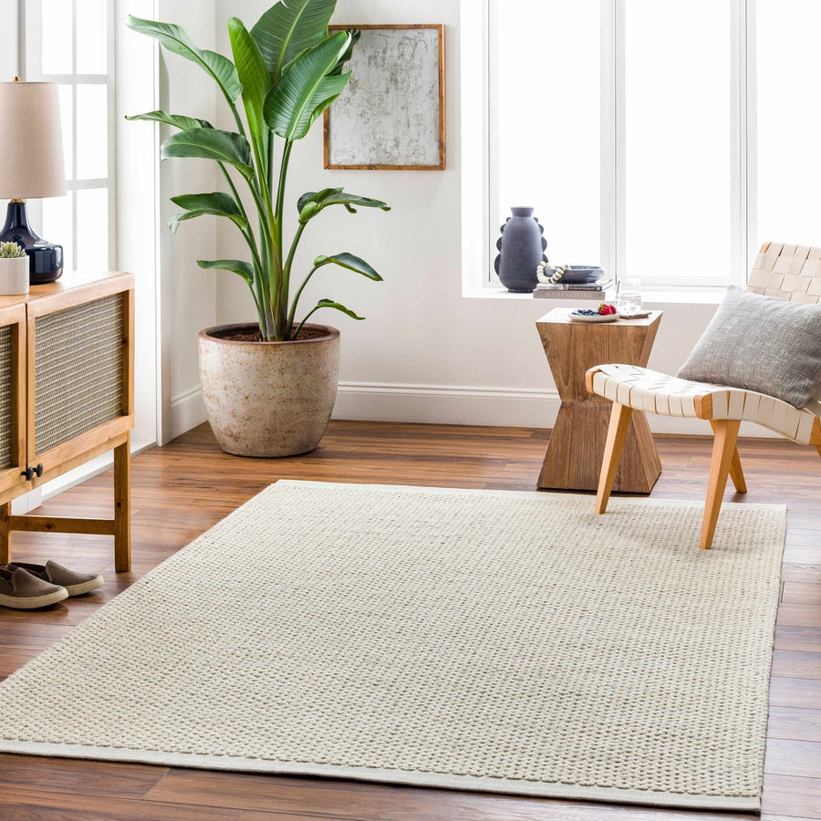 Emlen Traditional Style Beige Hand Woven Wool Rug - The Rug Decor