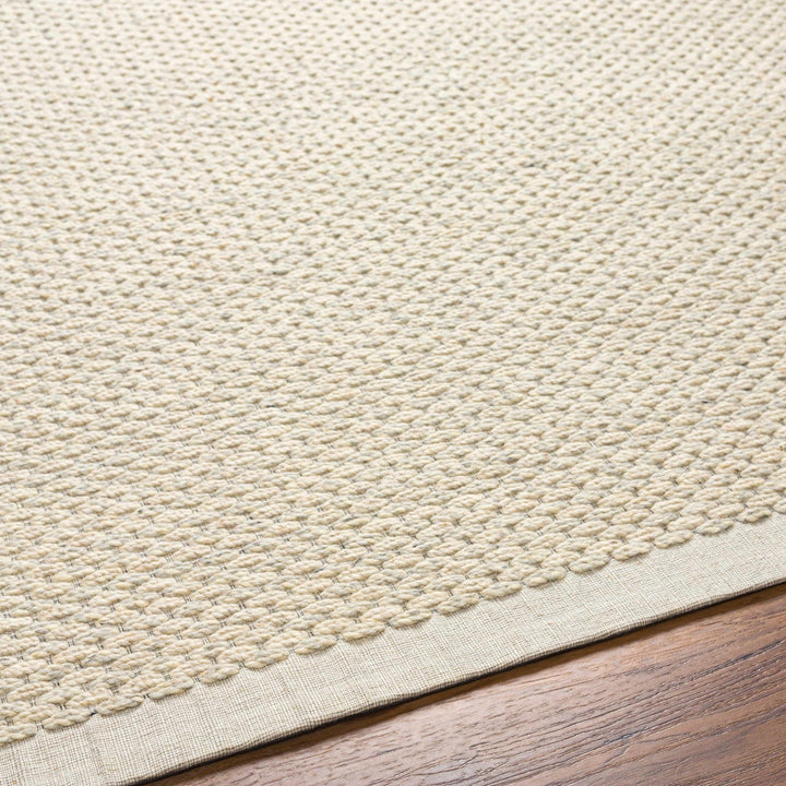 Emlen Traditional Style Beige Hand Woven Wool Rug - The Rug Decor