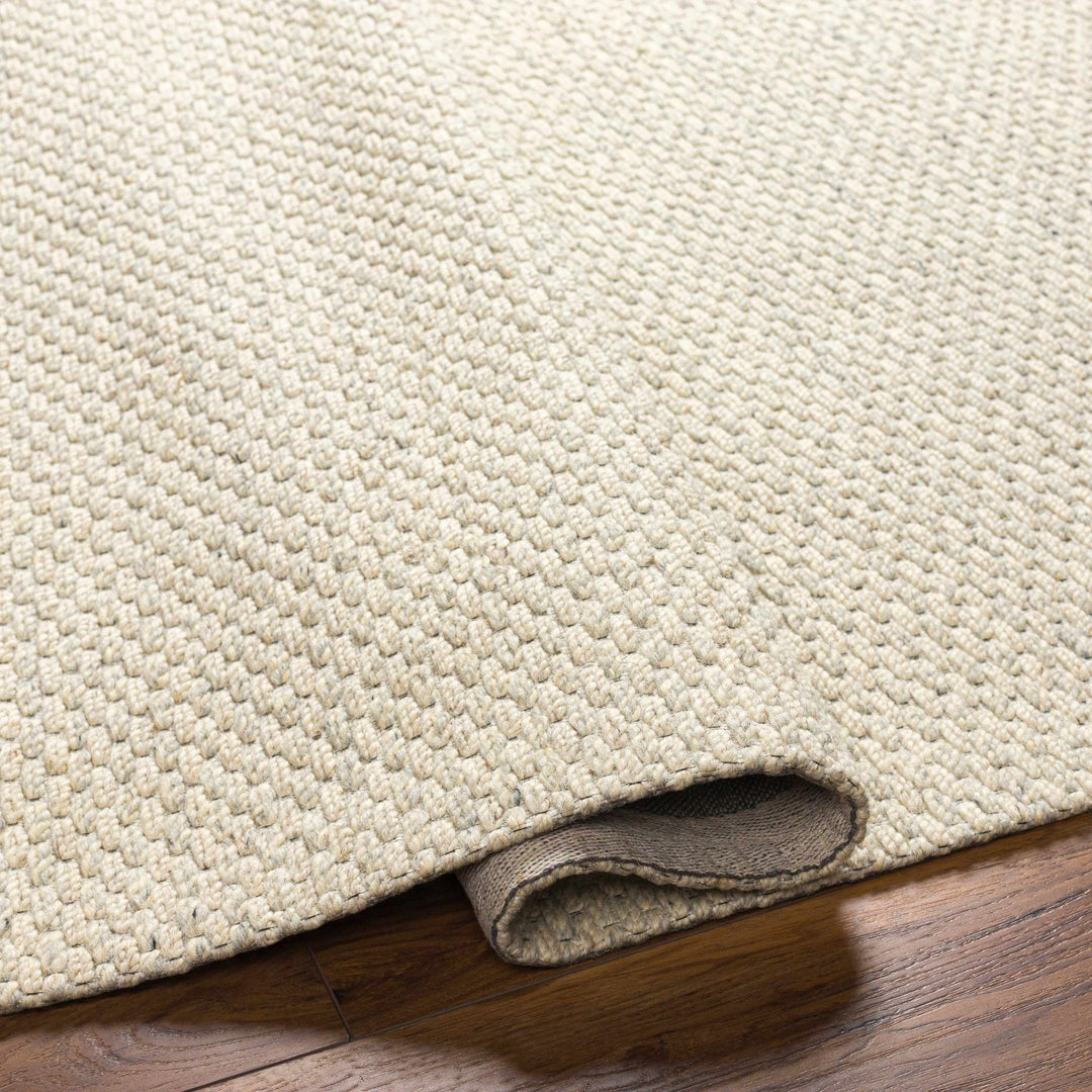 Emlen Traditional Style Beige Hand Woven Wool Rug - The Rug Decor