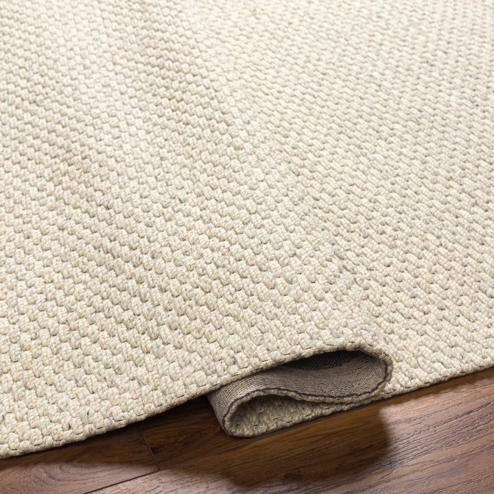Emlen Traditional Style Beige Hand Woven Wool Rug - The Rug Decor
