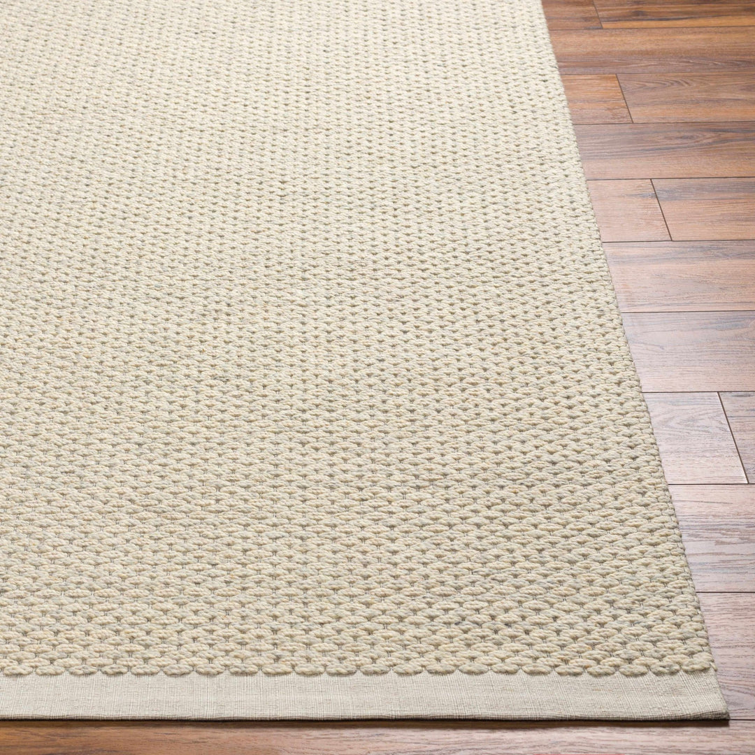 Emlen Traditional Style Beige Hand Woven Wool Rug - The Rug Decor