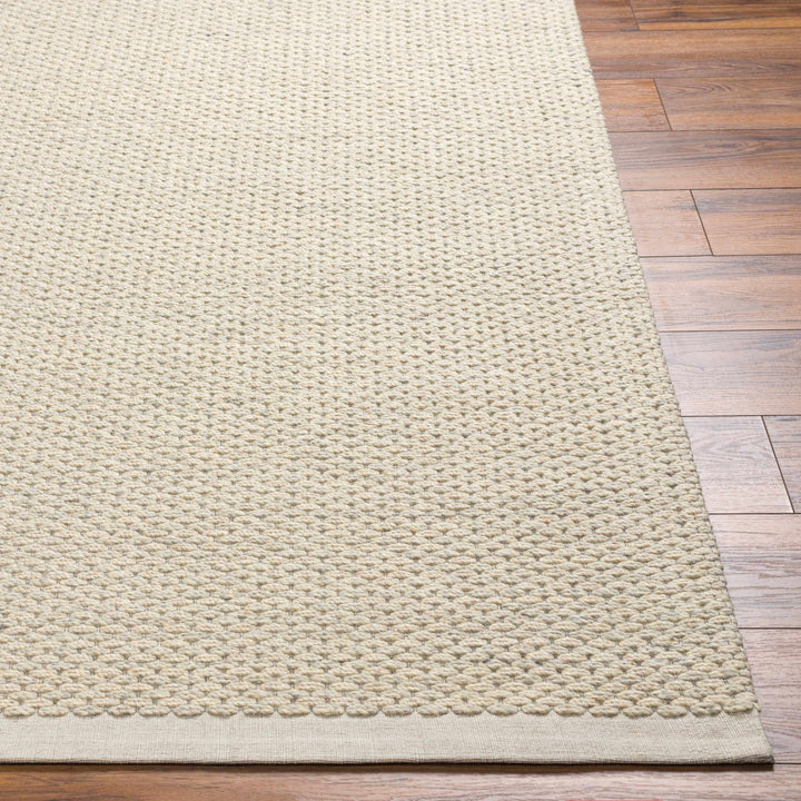 Emlen Traditional Style Beige Hand Woven Wool Rug - The Rug Decor