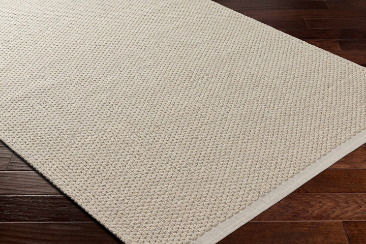 Emlen Traditional Style Beige Hand Woven Wool Rug - The Rug Decor