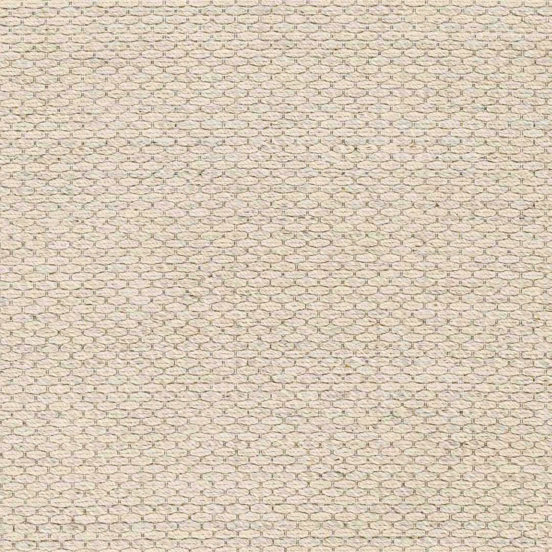 Emlen Traditional Style Beige Hand Woven Wool Rug - The Rug Decor