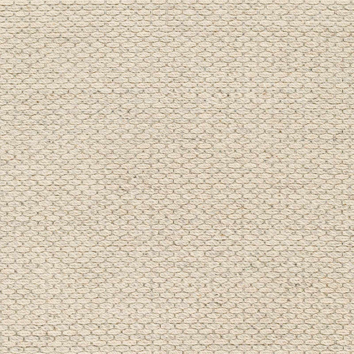 Emlen Traditional Style Beige Hand Woven Wool Rug - The Rug Decor