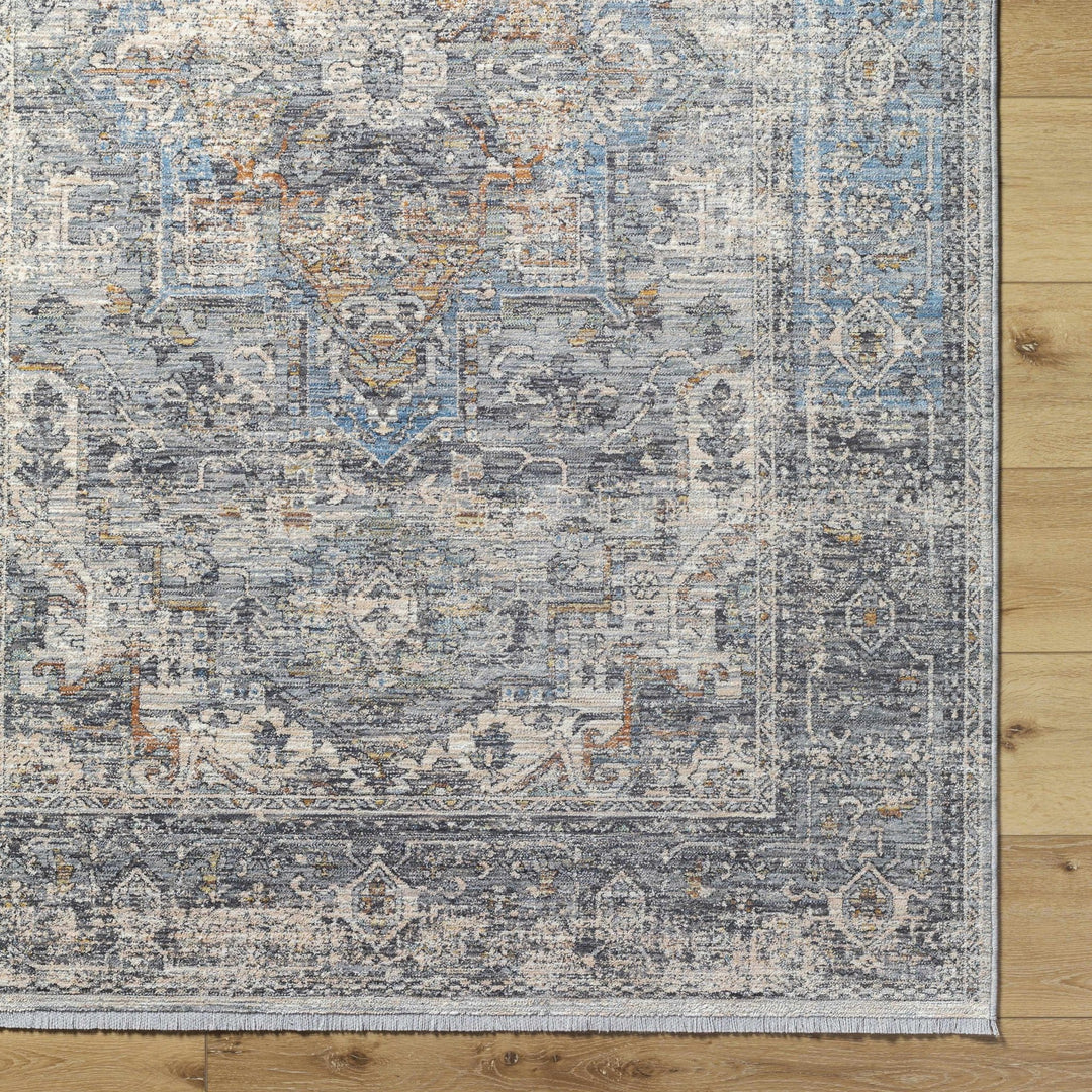 Erela Traditional Distress Beige And Gray Rug - The Rug Decor