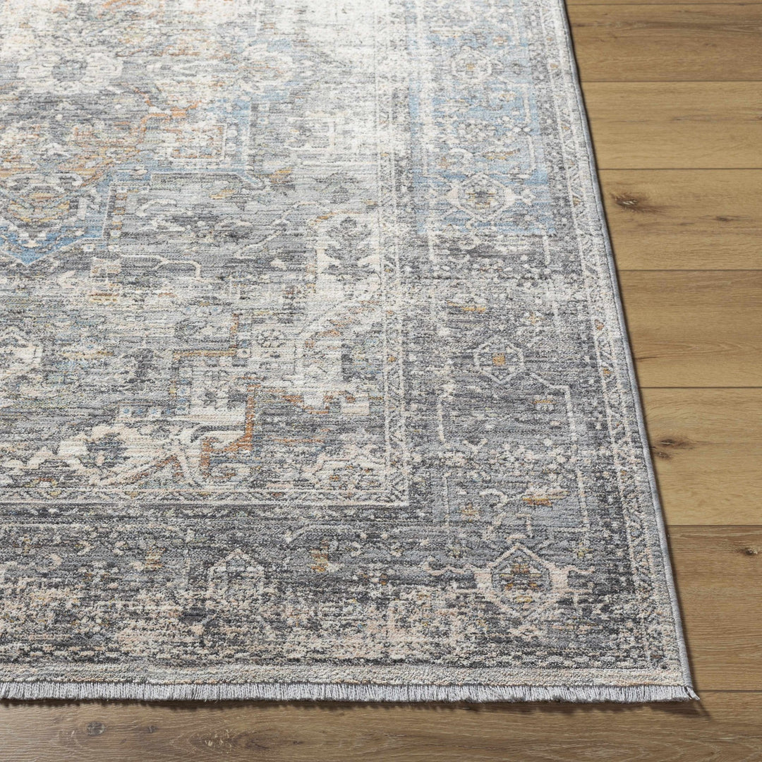Erela Traditional Distress Beige And Gray Rug - The Rug Decor