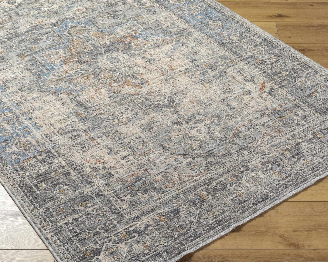 Erela Traditional Distress Beige And Gray Rug - The Rug Decor