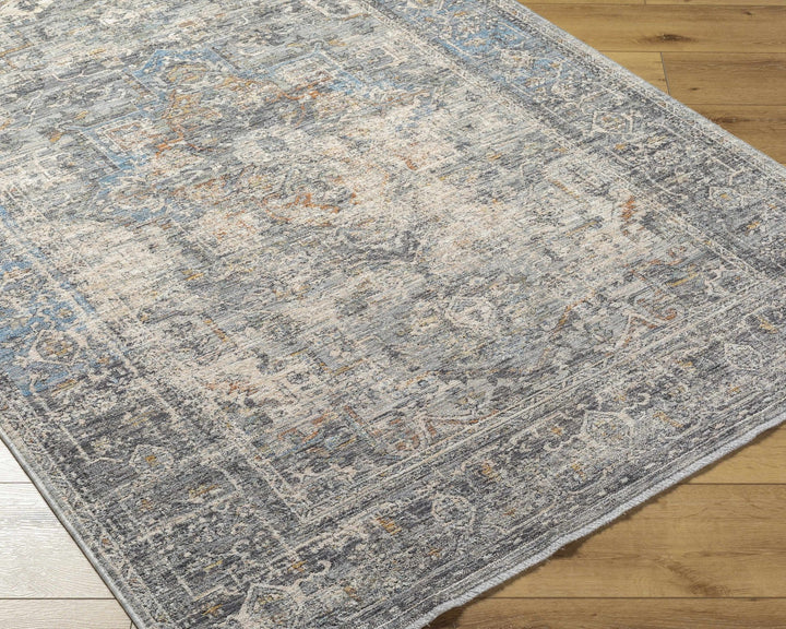 Erela Traditional Distress Beige And Gray Rug - The Rug Decor