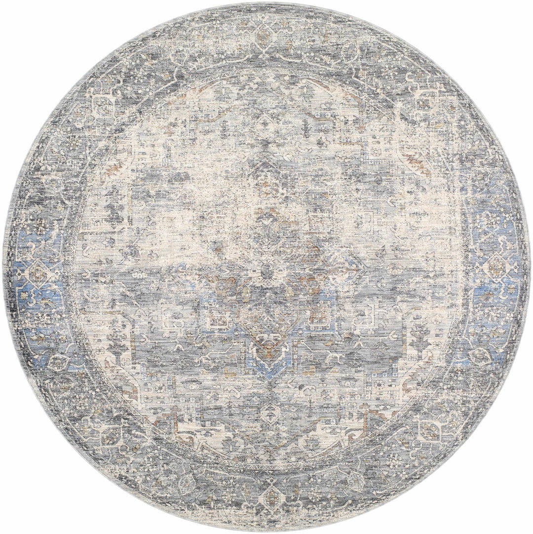 Erela Traditional Distress Beige And Gray Rug - The Rug Decor