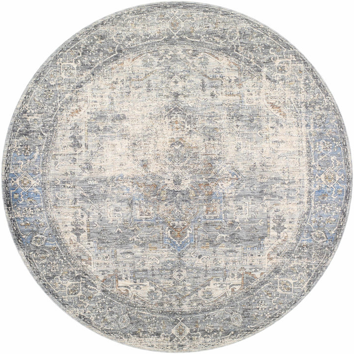 Erela Traditional Distress Beige And Gray Rug - The Rug Decor