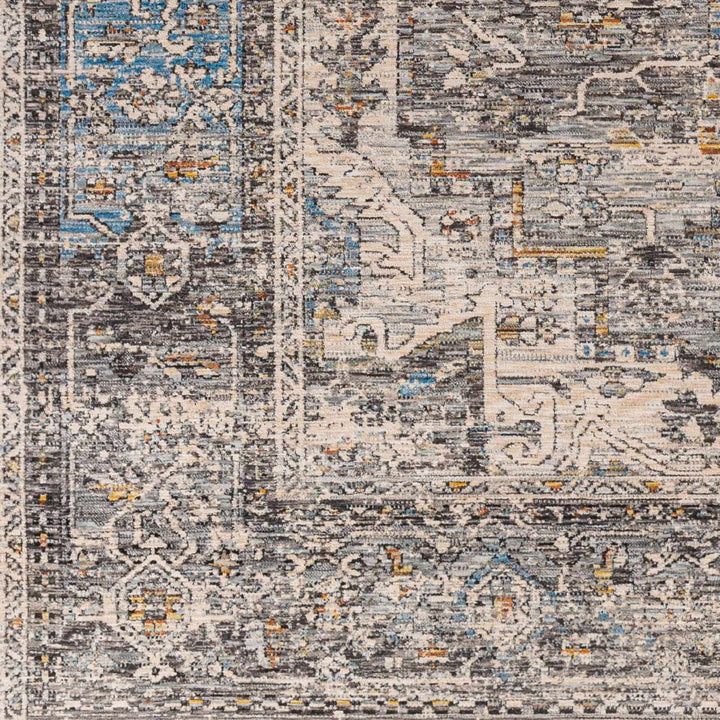 Erela Traditional Distress Beige And Gray Rug - The Rug Decor