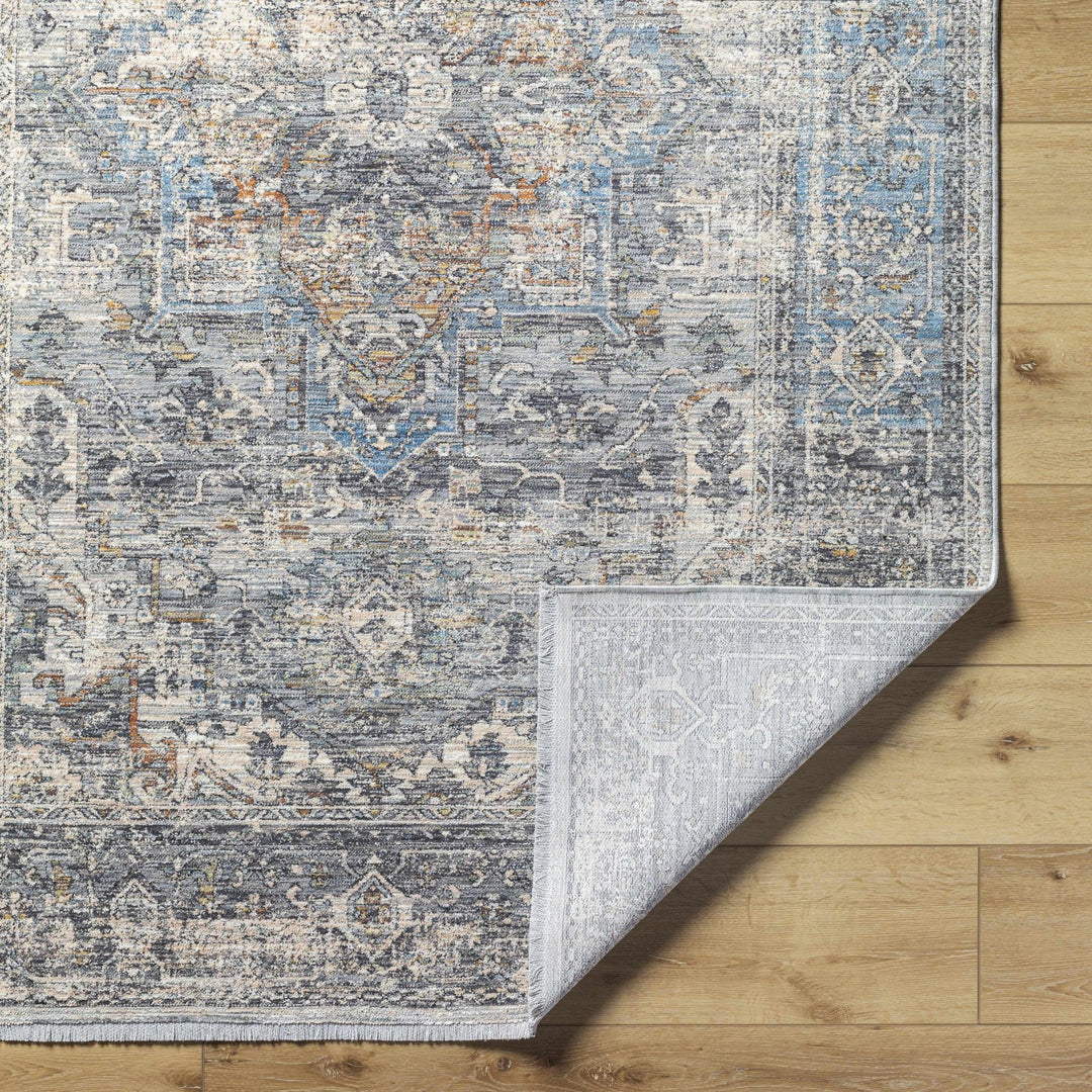 Erela Traditional Distress Beige And Gray Rug - The Rug Decor