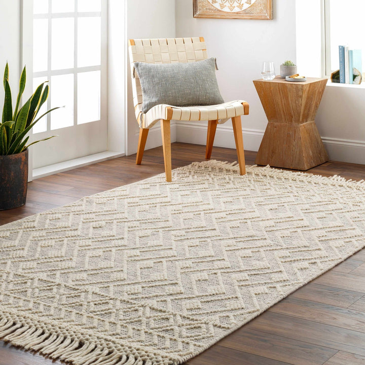 Erica Contemporary Beige And Gray Wool Rug - The Rug Decor