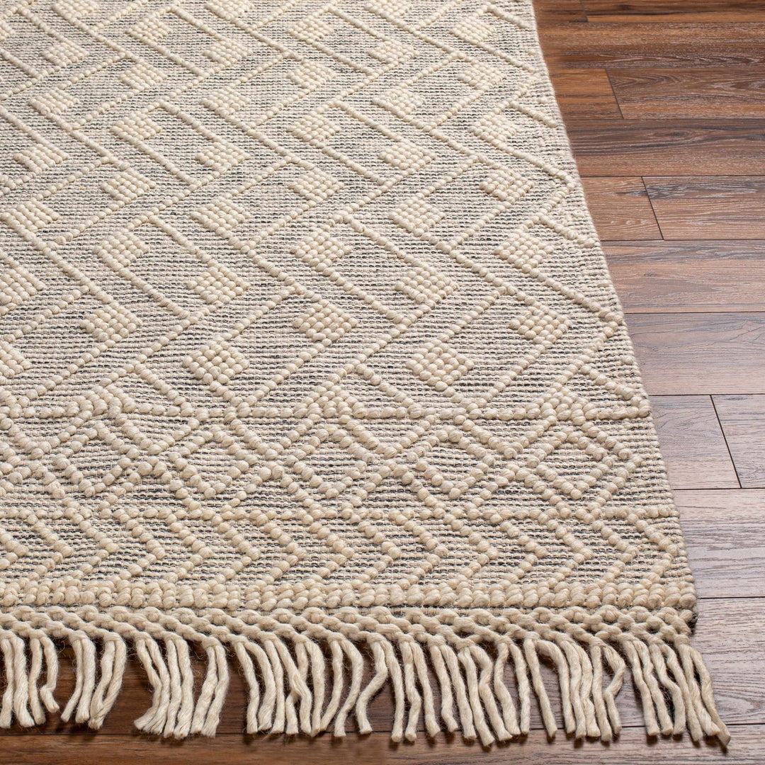 Erica Contemporary Beige And Gray Wool Rug - The Rug Decor
