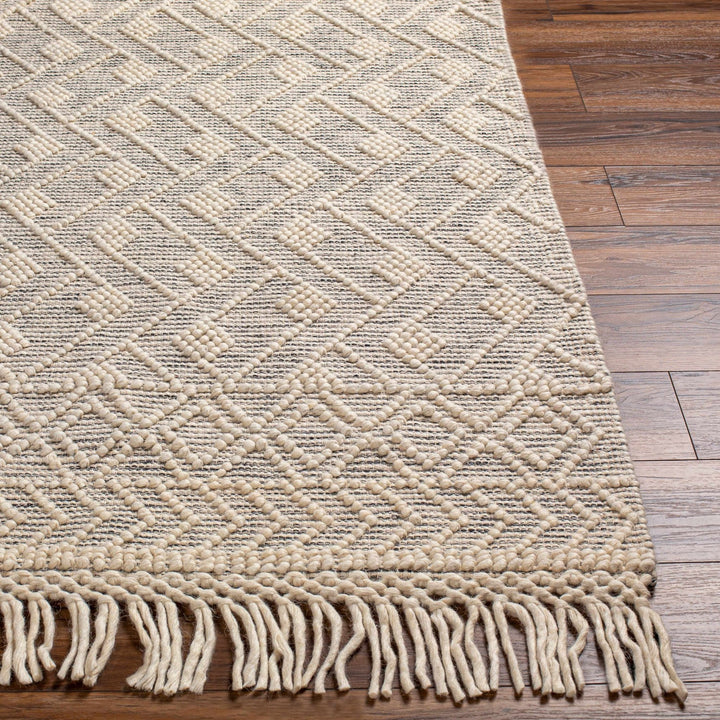Erica Contemporary Beige And Gray Wool Rug - The Rug Decor