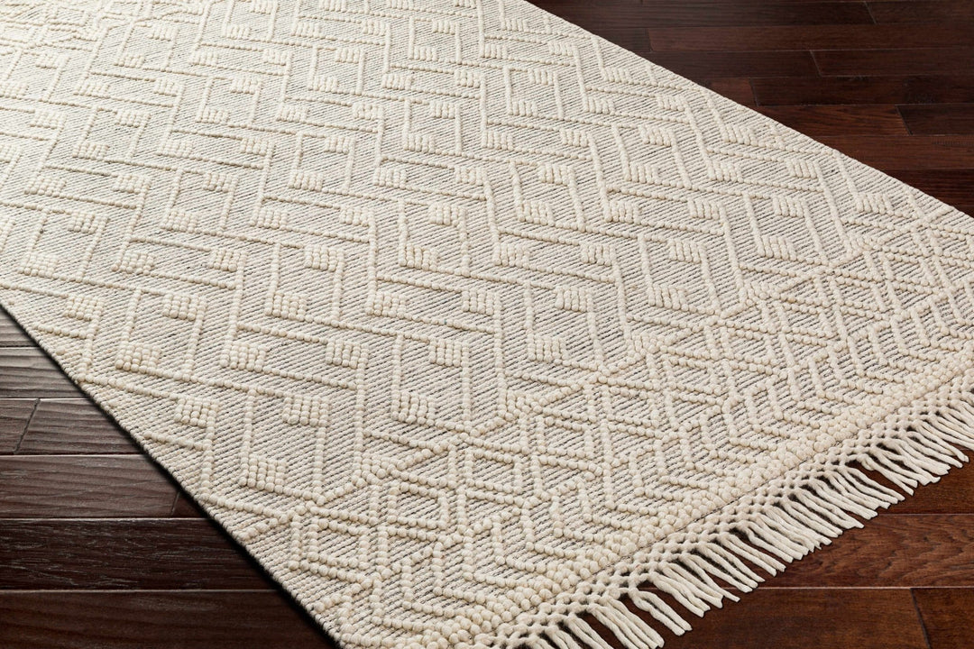 Erica Contemporary Beige And Gray Wool Rug - The Rug Decor