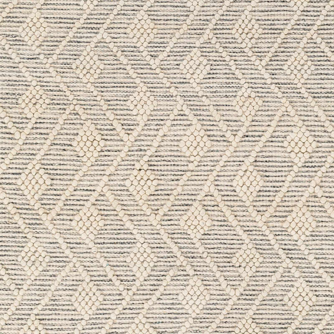Erica Contemporary Beige And Gray Wool Rug - The Rug Decor