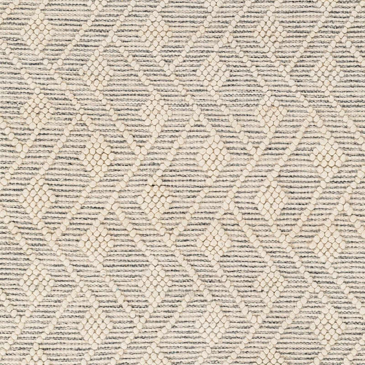 Erica Contemporary Beige And Gray Wool Rug - The Rug Decor