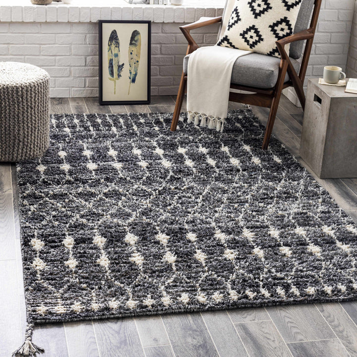 Erina Black Modern Geometrical Design Hand Knotted Area Rug