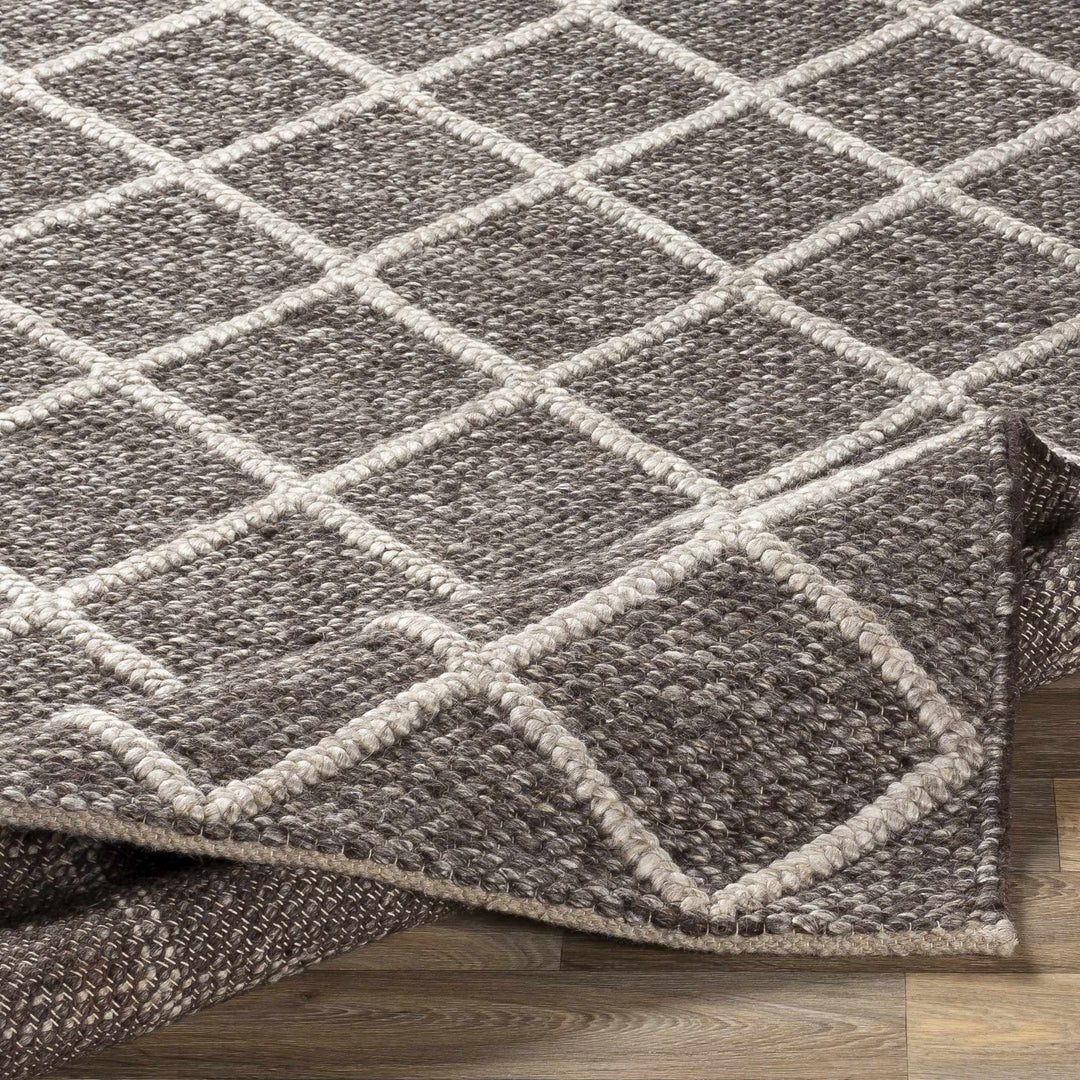 Eros Modern Style Brown And Ivory Hand Woven Area Rug