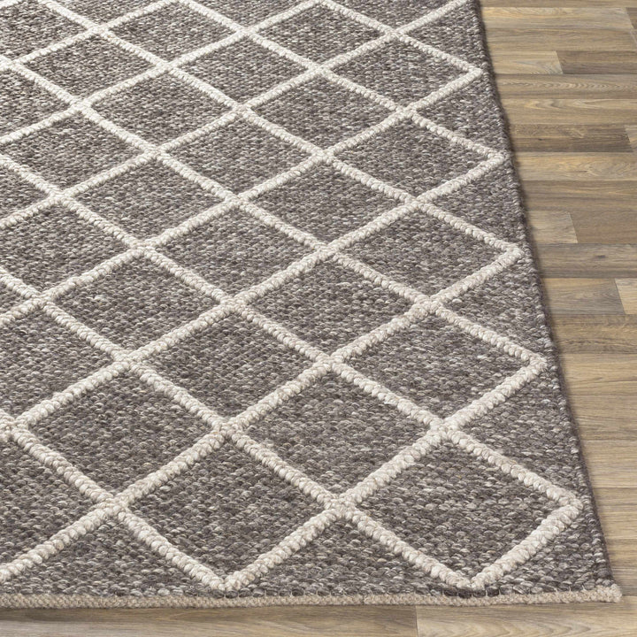 Eros Modern Style Brown And Ivory Hand Woven Area Rug
