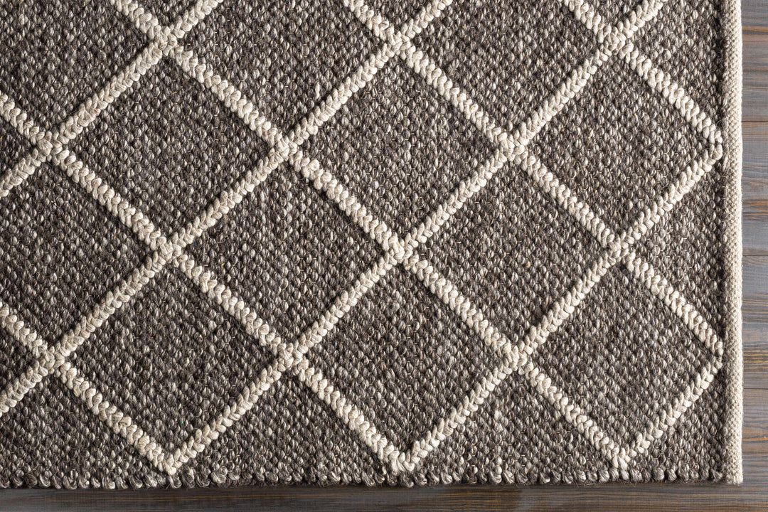 Eros Modern Style Brown And Ivory Hand Woven Area Rug