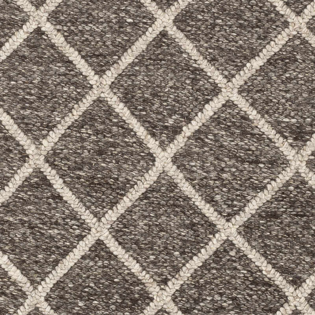 Eros Modern Style Brown And Ivory Hand Woven Area Rug