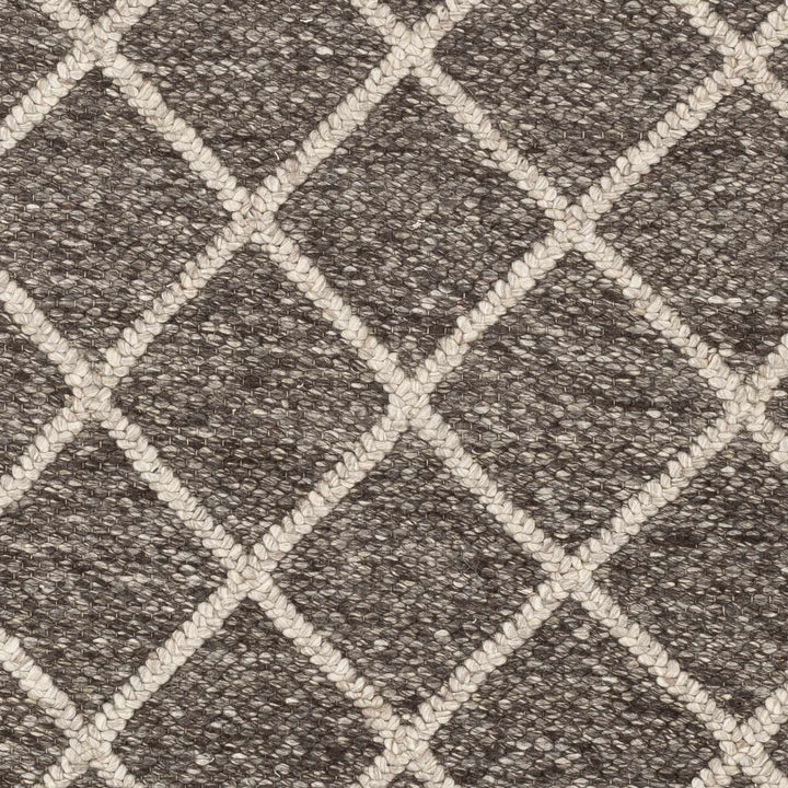 Eros Modern Style Brown And Ivory Hand Woven Area Rug