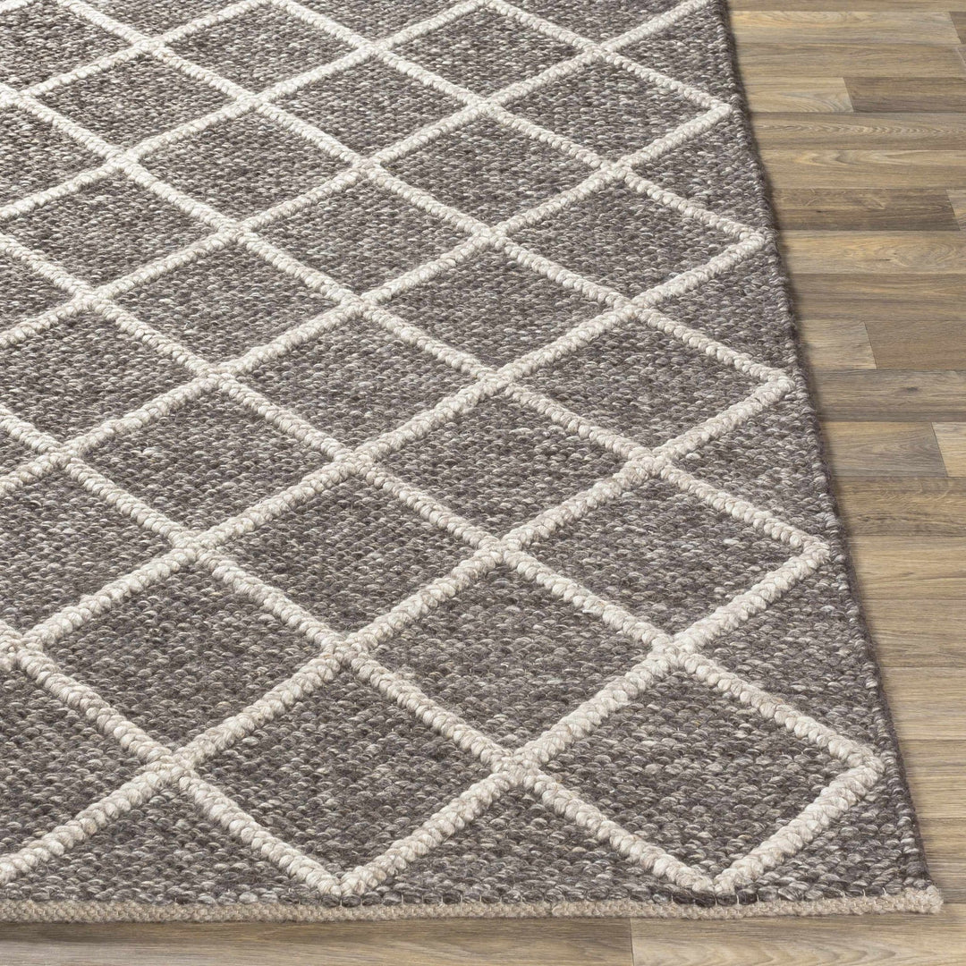 Eros Modern Style Brown And Ivory Hand Woven Area Rug - The Rug Decor