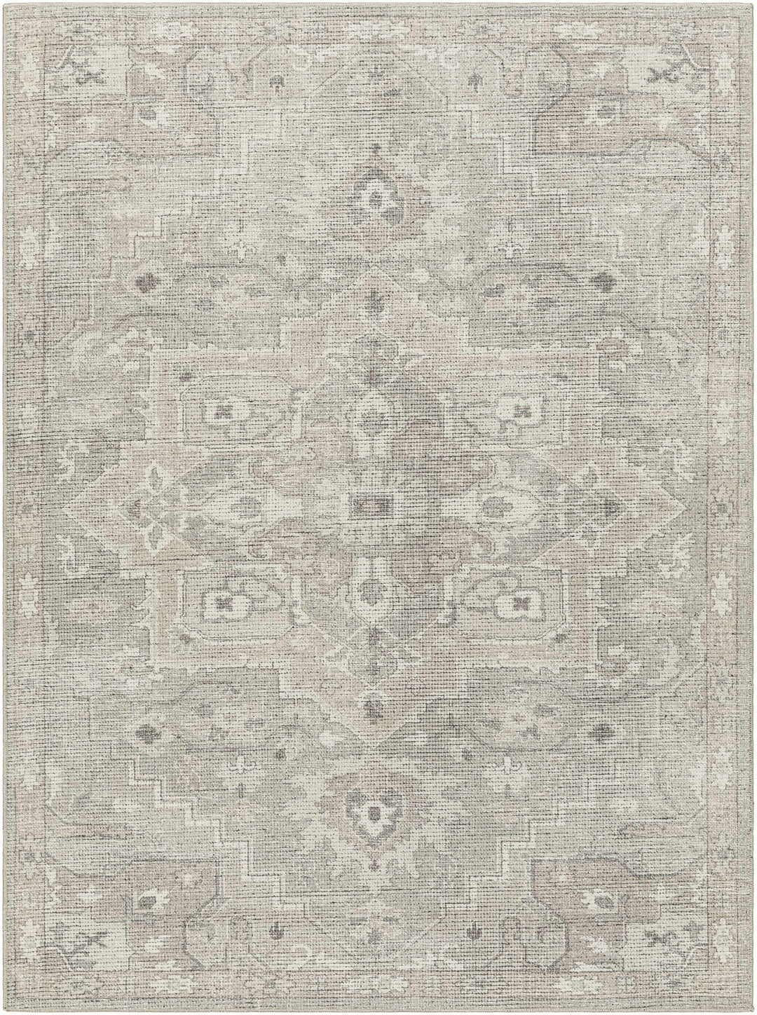 Esau Traditional Gray Machine Woven Area Rug - The Rug Decor