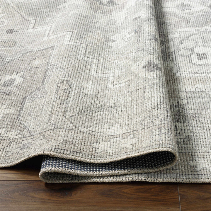 Esau Traditional Gray Machine Woven Area Rug - The Rug Decor