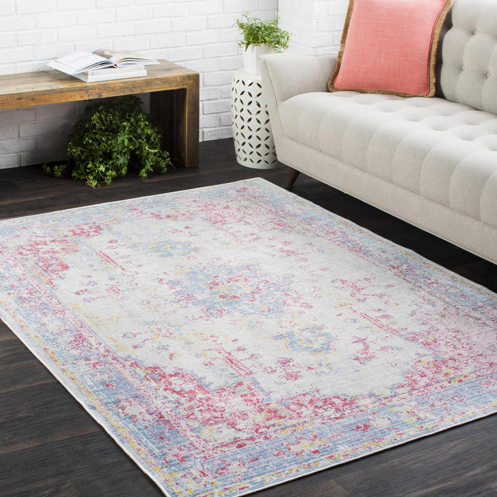 Eufaula Traditional Style Pink And Blue Area Rug - The Rug Decor