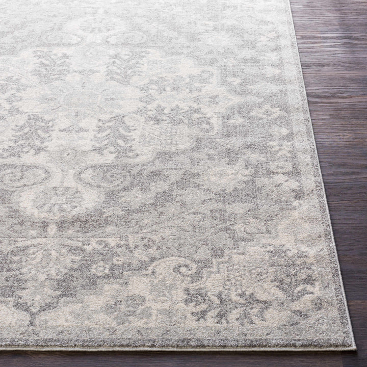 Everglades Traditional Style Gray Area Rug