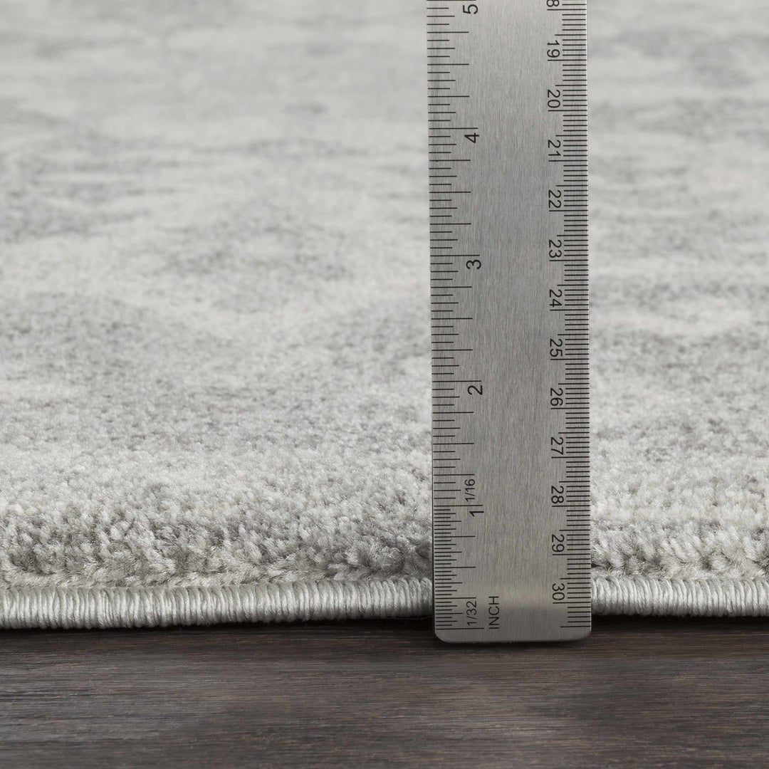 Everglades Traditional Style Gray Area Rug