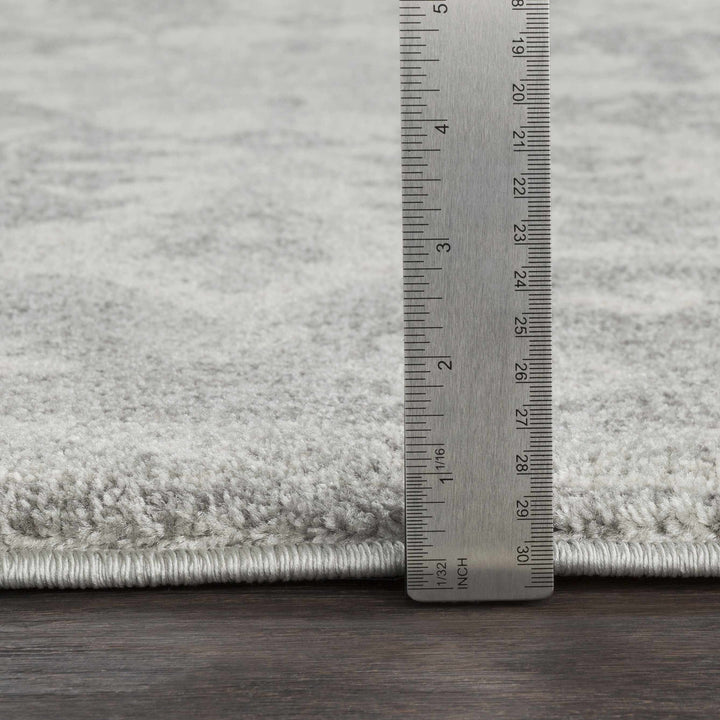 Everglades Traditional Style Gray Area Rug