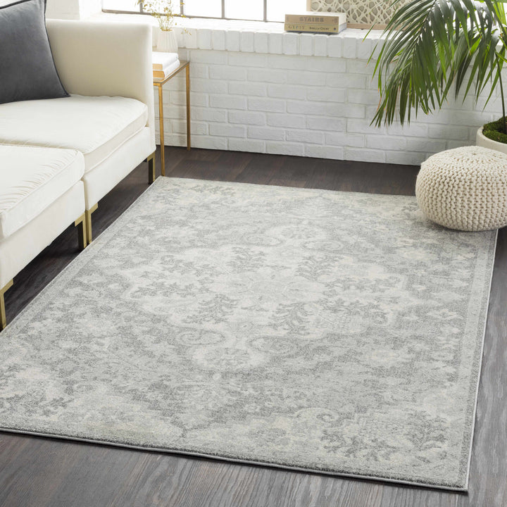 Everglades Traditional Style Gray Area Rug