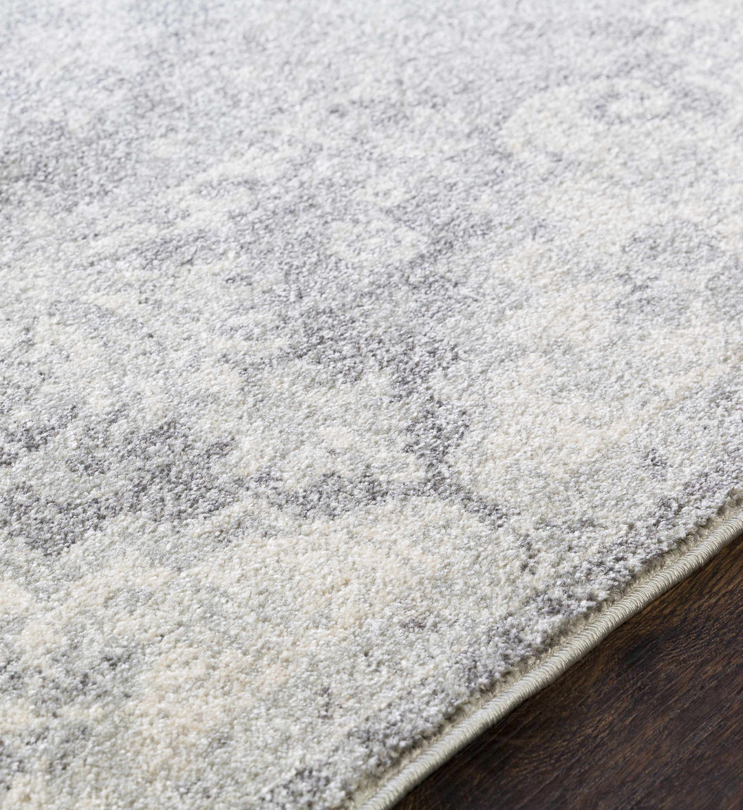Everglades Traditional Style Gray Area Rug