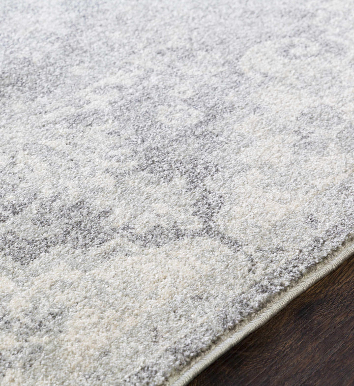 Everglades Traditional Style Gray Area Rug