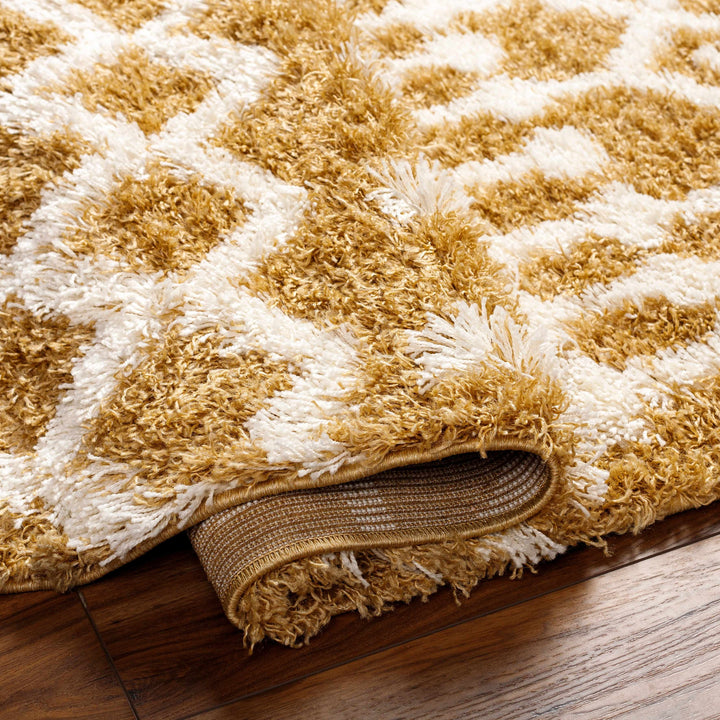 Evely Contemporary Style Camel And Ivory Area Rug