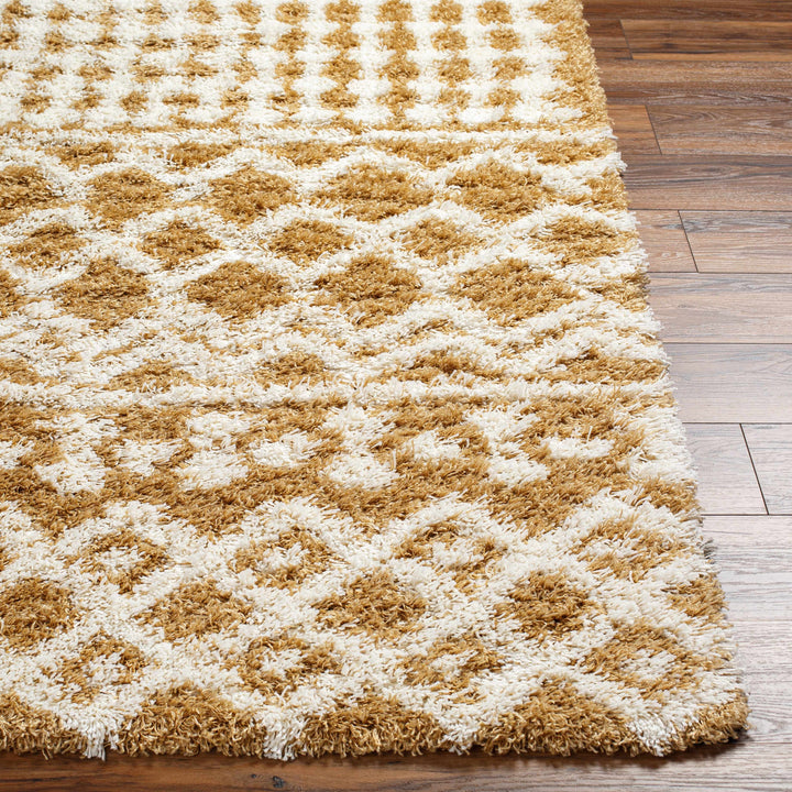 Evely Contemporary Style Camel And Ivory Area Rug
