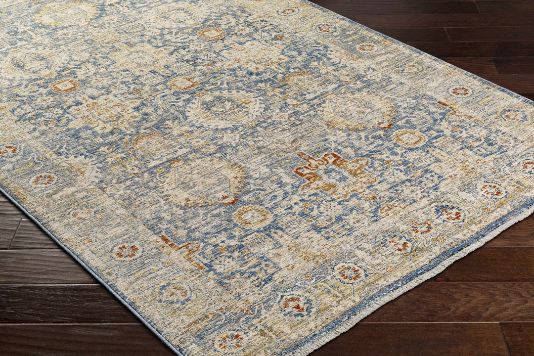 Eytan Beige And Blue Traditional Style Washed out Area Rug - The Rug Decor