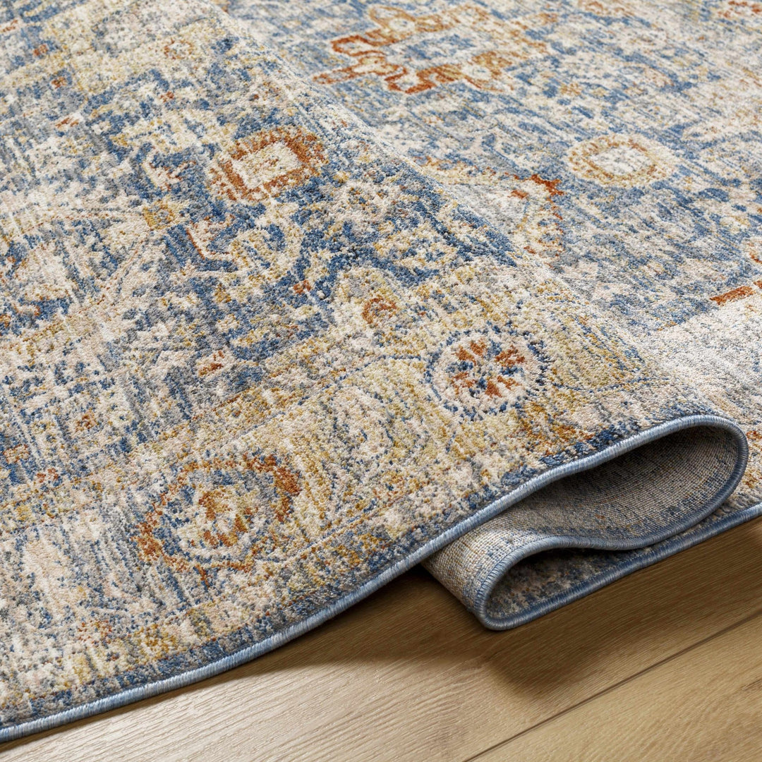 Eytan Beige And Blue Traditional Style Washed out Area Rug - The Rug Decor