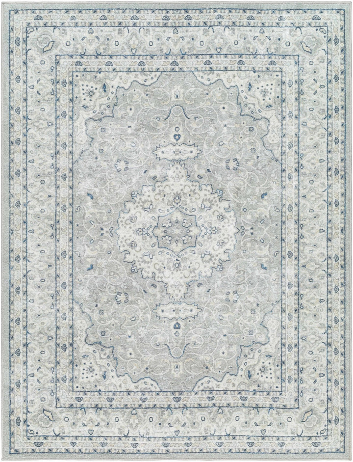 Farai Gray Traditional Medallion Design Rug - The Rug Decor