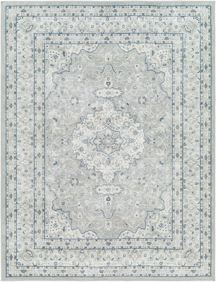 Farai Gray Traditional Medallion Design Rug - The Rug Decor