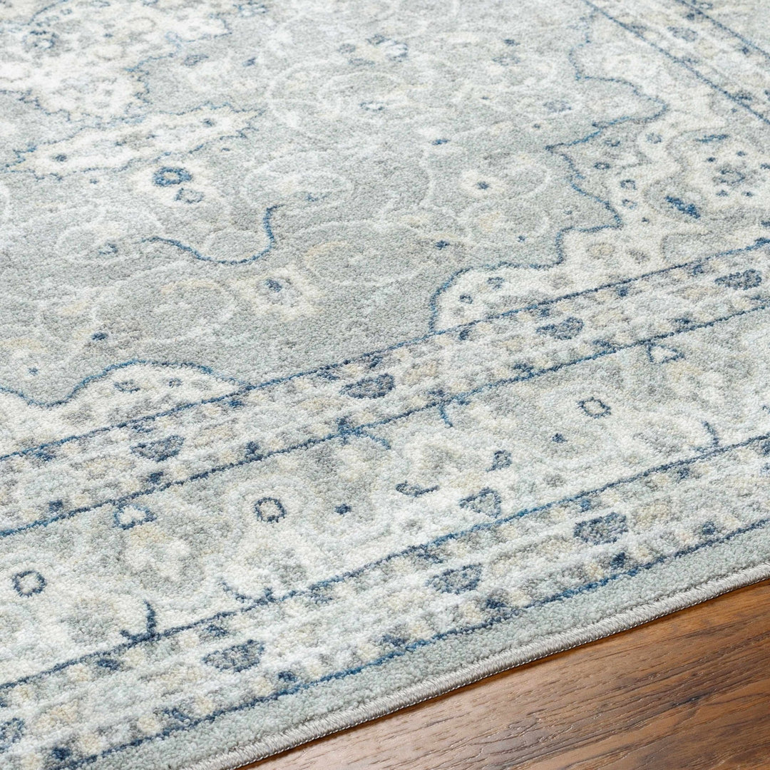 Farai Gray Traditional Medallion Design Rug - The Rug Decor