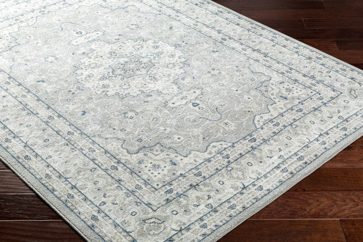 Farai Gray Traditional Medallion Design Rug - The Rug Decor