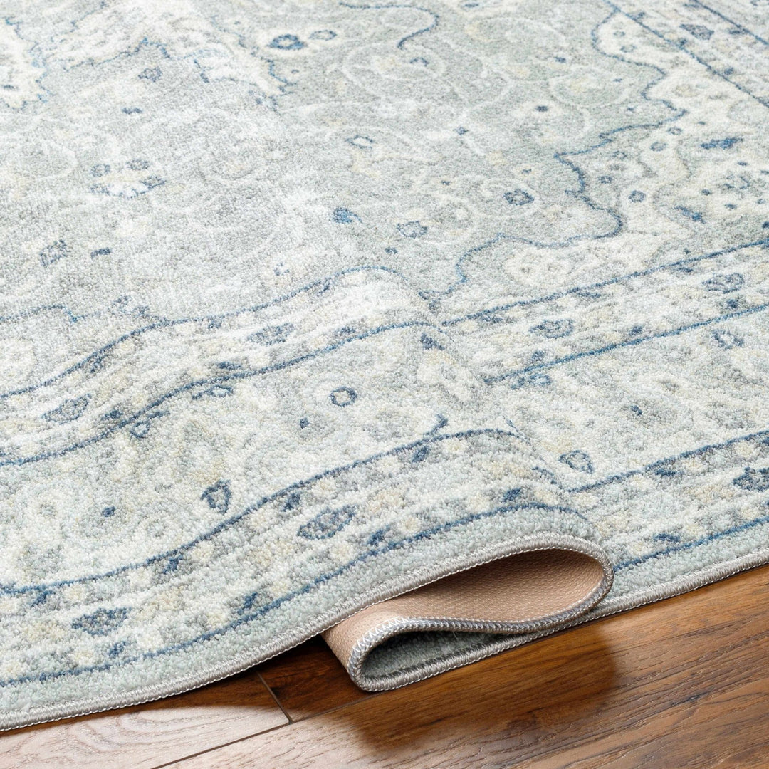 Farai Gray Traditional Medallion Design Rug - The Rug Decor