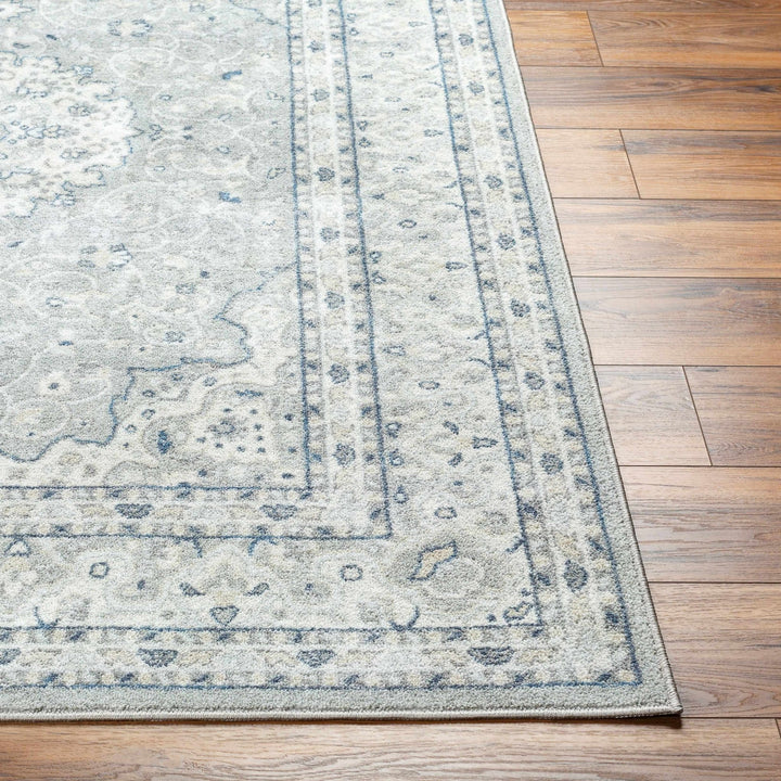 Farai Gray Traditional Medallion Design Rug - The Rug Decor